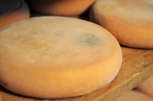 La fromagerie a ouvert un numéro vert pour les consommateurs, le 0800 94 01 64, accessible de 8h à 19h.