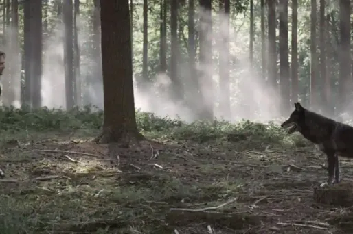 Cette chanson s'entend comme si Johnny Hallyday avait lancé un ultime cri d'amour à sa famille avant de mourir.