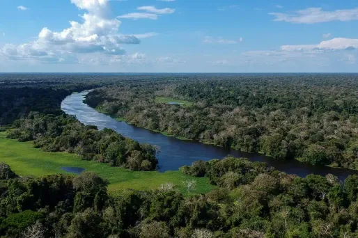 Ces espaces constituent des refuges vitaux pour des milliers d'espèces menacées par la déforestation ou la surpêche.