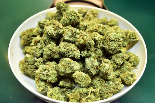 Le parti du président élu pourrait autoriser la production, la consommation et la vente de marijuana