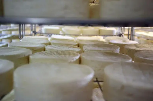 Image d'illustration. Neuf meules ont été sélectionnées pour cette expérience.