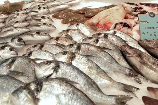 poissonnerie poissons