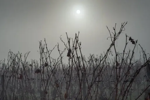 brouillard, grisaille, nuages crédit : GUILLAUME SOUVANT / AFP - 1280