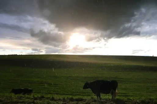 Dès le mercredi matin, le nord de la Loire sera marqué par des pluies.