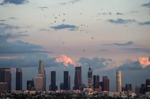 Los Angeles 1280 ROBYN BECK / AFP