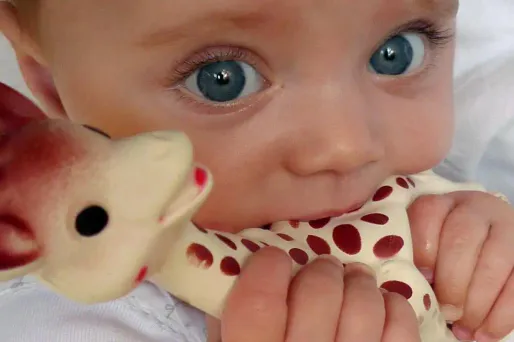 sophie la girafe crédit : AURELIA BAILLY / AFP - 1280