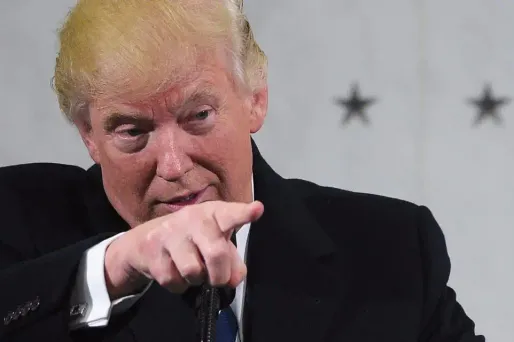 Selon Donald Trump, jusqu'à cinq millions de personnes pourraient avoir voté illégalement à la présidentielle