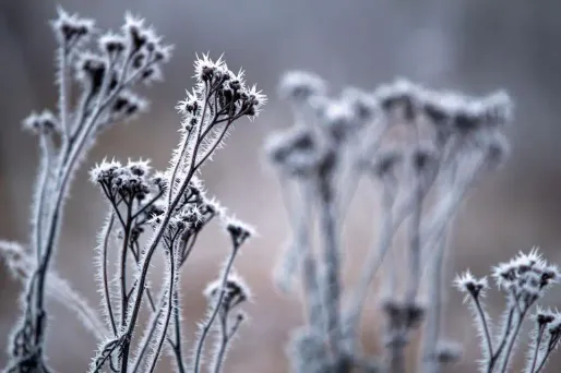 Le "Blue Monday" est considéré par un psychologue britannique comme le jour le plus déprimant de l'année.