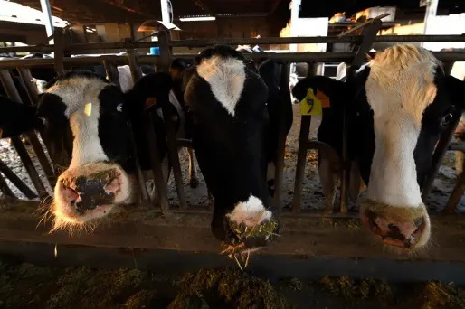 Les États-Unis reconnaissent l'équivalence des systèmes de contrôle de production sur leur territoire et en France.