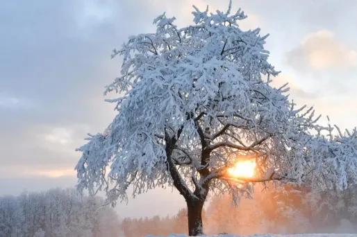 Vague de froid : le bilan en Italie atteint sept morts en 48 heures