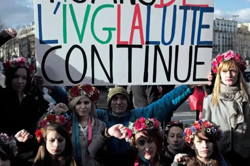 ivg délit entrave internet parlement