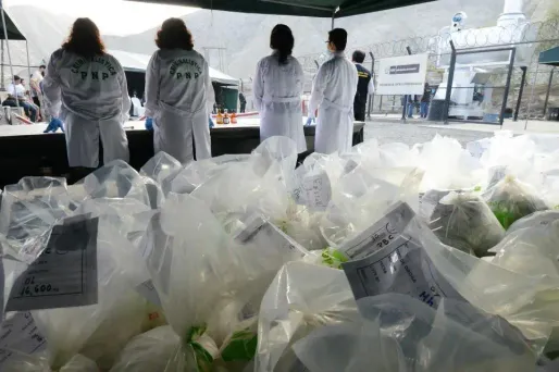 Les deux français avaient été arrêtés en juin dernier avec 10 kilos de cocaïne.