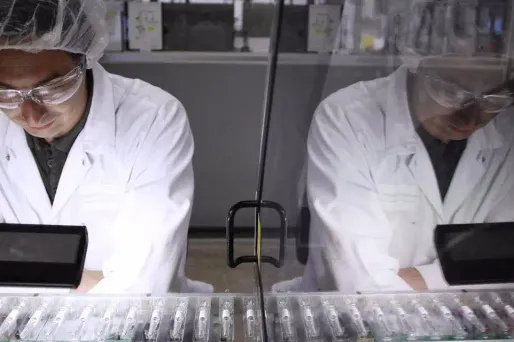 Le cancer du pancréas évolue longtemps sans symptômes, et 80% des patients décèdent dans l'année qui suit le diagnostic.