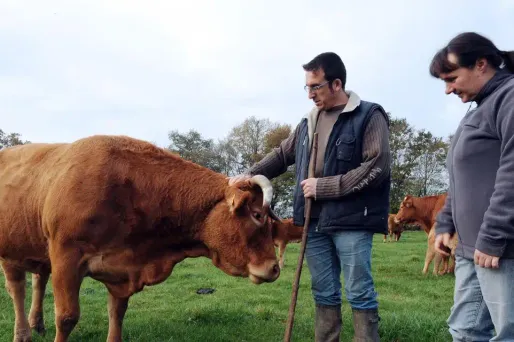 agriculteur, éleveur, vache, crédit : JEAN-FRANCOIS MONIER / AFP - 1280