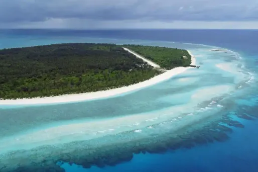 Australie : les coraux de la Grande Barrière ont encore blanchi