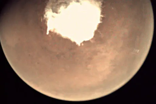 Bientôt des frites en provenance de... la planète Mars ?