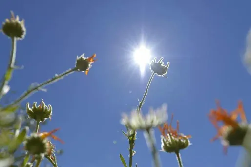 Il fera beau au sud du pays jeudi.