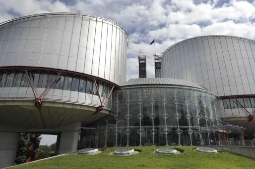 La Cour européenne des droits de l'homme.