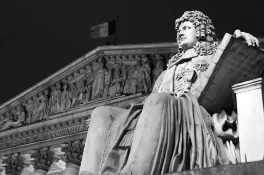 Législatives : la vague du renouvellement à l'assaut de l'Assemblée nationale