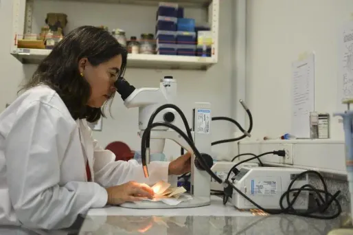 L'intérêt du public pour les scientifiques serait aussi dû à leur physique.