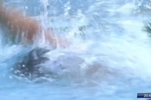 Crawl sur 50 mètres brasse, Anna Santamans crédit : capture d'écran BeIn Sports - 1280