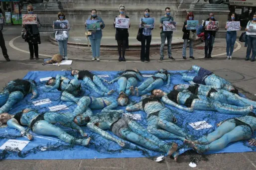 Les militants, le corps peint en bleu, étaient recouverts par des filets de pêche.