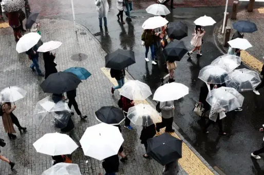 La météo du dimanche 7 mai : de la pluie surtout sur le Nord-Est