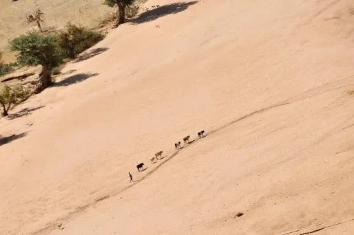 Le Français avait été enlevé dans l'est du Tchad.