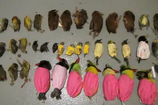 aéroport los angeles