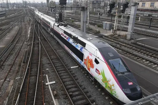 France Nature Environnement a annoncé avoir assigné en réparation une filiale de Vinci et une autre de Bouygues Construction, pour atteintes à l'environnement.