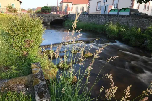 Les grand-parents ont été relâchés mercredi soir, après avoir été entendus.