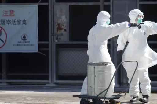 grippe aviaire chine virus 1280 x 640 Isaac Lawrence / AFP