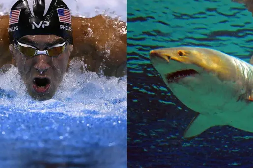 Le projet de Discovery channel n'a pas été exposé plus en détails et le suspense sur les modalités de l'émission demeure.