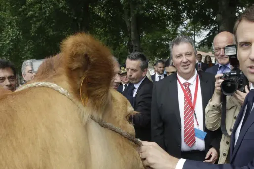 Le plan d'investissement de 5 milliards d'euros, promis pendant la campagne électorale, sera lancé "à l'issue" de ces états généraux, a annoncé vendredi le chef de l'État.