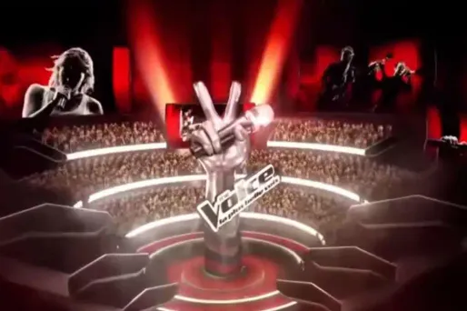 Audiences TV : The Voice sur TF1 plus fort que la finale de la Ligue des champions sur C8
