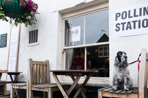 Des milliers de Britanniques ont photographié leurs chiens devant les bureaux de vote.