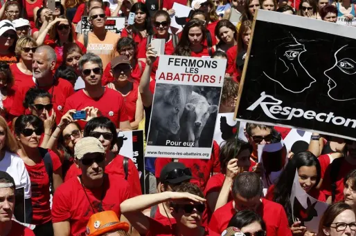 La manifestation qui accueille un "village vegan" propose notamment un masque de réalité virtuelle pour une immersion au sein d'un abattoir de porcs.