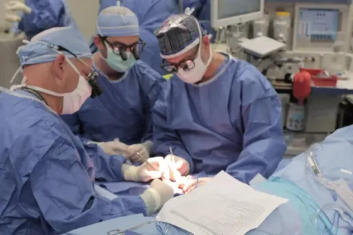 Une femme a pu être opérée à Grenoble deux heures après l'accident et ses membres réimplantés, a annoncé jeudi l'hôpital.