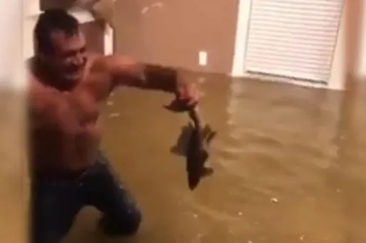 Après plusieurs tentatives, l'homme a réussi à attraper l'animal par la queue.