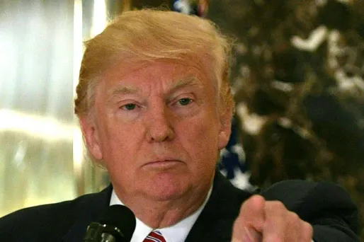 "Cette beauté qui est retirée de nos villes et parcs manquera beaucoup", a estimé Donald Trump.