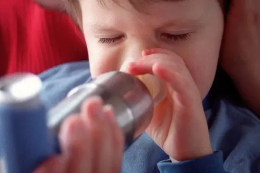 Les décès dus à l'asthme ont, eux, diminué de plus d'un quart mais la fréquence de cette maladie a augmenté de près de 13% au cours de la même période