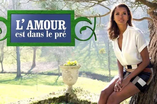 Plus de 3,5 millions étaient devant leur poste de télévision pour suivre l'émission présentée par Karine Le Marchand.