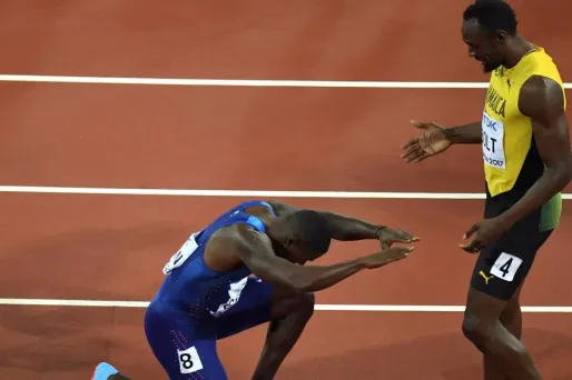 Audiences TV : La dernière de Bolt place France 2 en tête