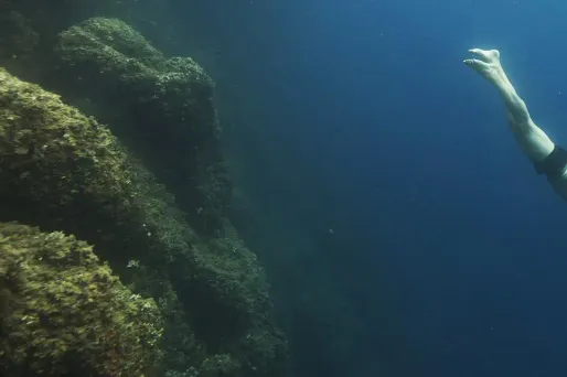 apnée 1280 BORIS HORVAT / AFP