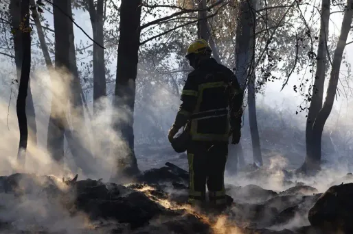 L'homme est soupçonné d'avoir mis le feu en Corse.