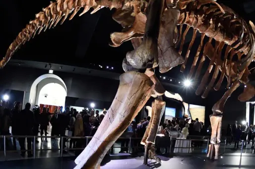 Dinausore, Patagotitan mayorum, New York (1280x640)
