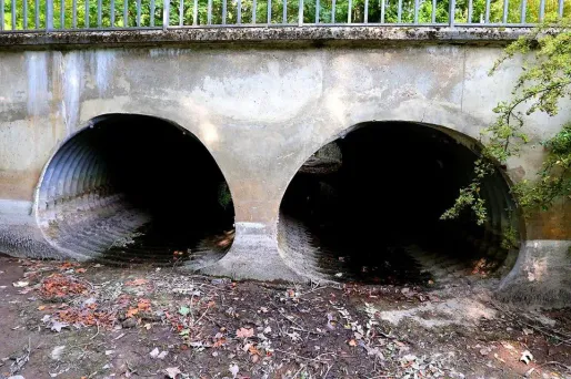 Les niveaux sont hétérogènes d'une région à l'autre. Ils sont "très bas" sans la vallée du Rhône au sud de Lyon ainsi que dans le secteur de la craie champenoise.(Illustration)