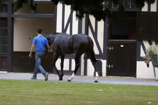 cheval deauville 1280 CHARLY TRIBALLEAU / AFP