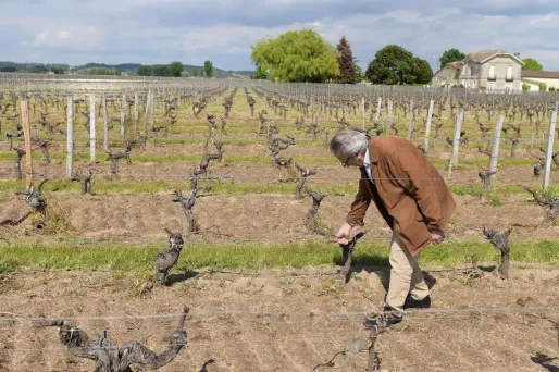 L'ouvrier viticole décédé d'un cancer avait été exposé directement aux pesticides pendant une vingtaine d'années.