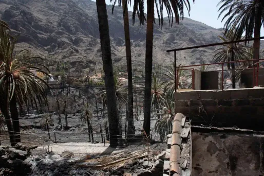 incendie canaries 1280